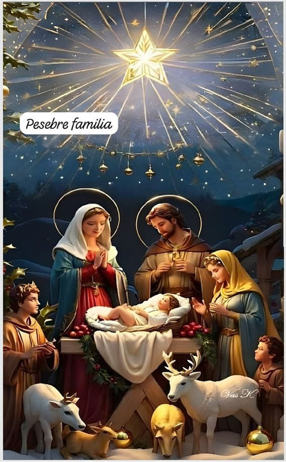 Funda navideña